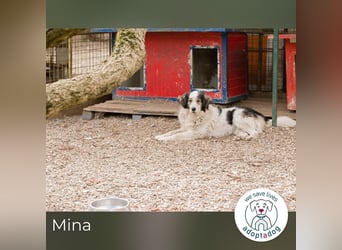 Mina: Ruhige Seele mit großem Herz