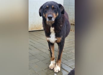 Lucky: wer lässt seine Augen strahlen
