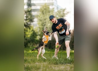 Besondere Deya sucht warmes Körbchen