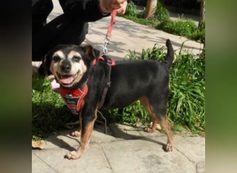 Frieda sucht ein Zuhause