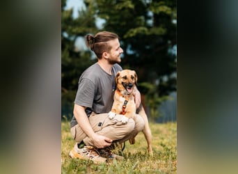 Freundliche Lilo sucht ihre Menschen