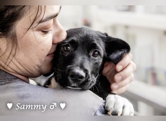 Kokonimix Tammy und Sammy suchen ein Zuhause