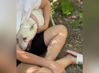 ANGEL - Einzelprinzessin in weiß sucht ihren Prinz!