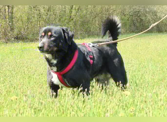 Yukio sucht liebevolle Familie....