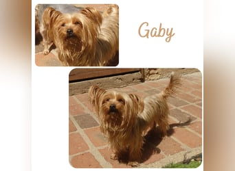 Gaby