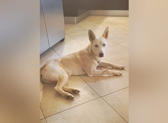 Perla: Sportskanone und Kuschelmaus