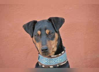 Zeigen Sie Pim, welche Vorstellungen Sie für ein gemeinsames Leben haben?