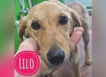 Lilo eine freundliche kleine Prinzessin
