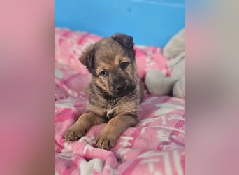 ARUBA ❤️ liebevolles Mädchen