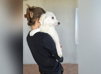 Lars : kleiner Wonneproppen sucht seine Menschen