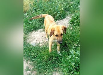 Abby,  möchte mit Dir Neues entdecken