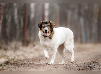 Besondere Agatha sucht ihre Menschen