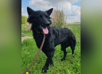 Schmusige Kaja ❤️ sucht Liebe, Sicherheit