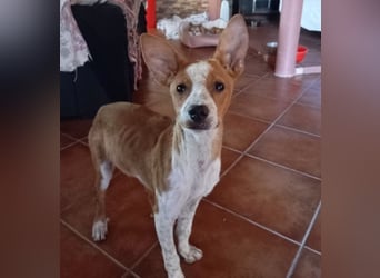 ❤️ CUCA ❤️