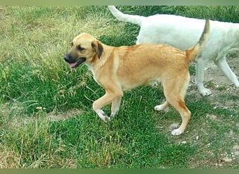 Abby,  möchte mit Dir Neues entdecken