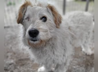 Lucky ❤️ fröhlich+aufgeweckt sucht dich!