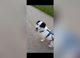 Josie sucht Herzensmensch fürs Leben