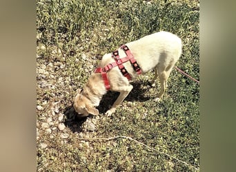 MAXI sucht Familienanschluss