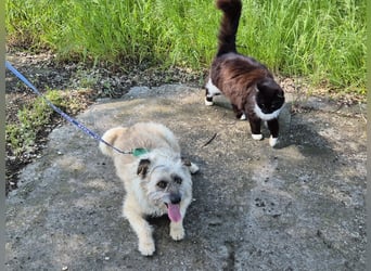Clark sucht ein neues Zuhause