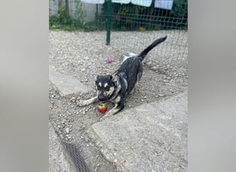 Aktive Tina sucht ihre eigene Familie