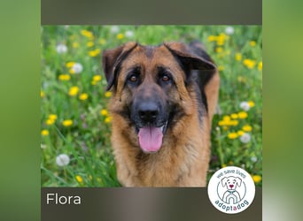 Flora: Fröhlich und bereit fürs Glück