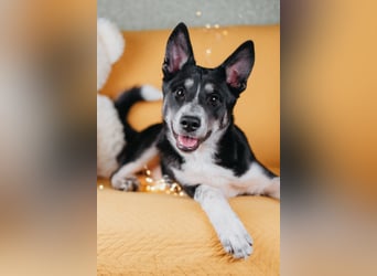 Die kleine Giselle sucht ein Zuhause