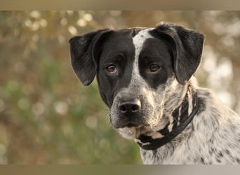 Zeigen Sie Dotty ein Leben inmitten einer Familie?