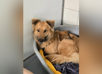 Dani sucht ihr Happy End bei einer liebevollen Familie