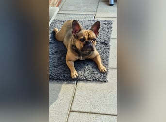 Liebevolles Zuhause gesucht