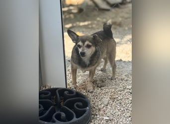 Zwei Seelchen suchen ein Zuhause