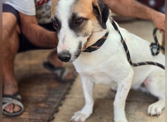 Betty - freundlich, unterwürfig