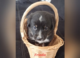 Sie sind endlich da 4 Mädels und 5 Jungs