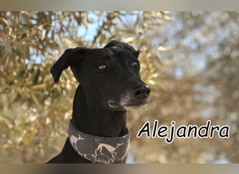 Hat Alejandras kecker Blick Sie verzaubert?