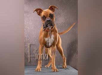 Fiona - eine Knutschkugel