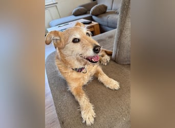 ZARA ❤️ ein süßer Schatz, Pflegefamilie Elsdorf