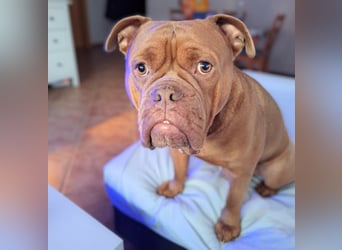 Capone - ist immer freundlich