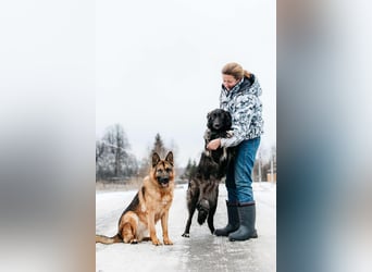 Freundlicher Muchtar sucht seine Familie