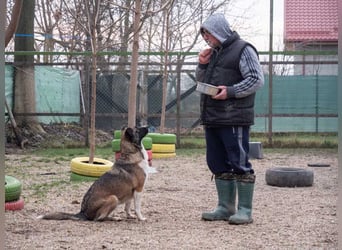 LIA-hat ihre Koffer voller Hoffnung auf einen Neustart gepackt und wartet jetzt auf ihr großes Wunde