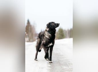 Vorsichtige Tama sucht ihre Familie