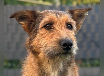 Peaches ❤️ wartet in 51143 Köln