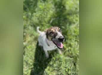 Aufgeschlossene Freya sucht liebe Familie