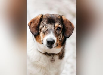 Besondere Agatha sucht ihre Menschen