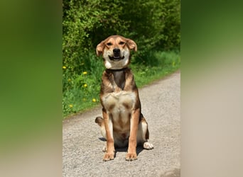 Bara schließt ihre Menschen schnell ins Herz