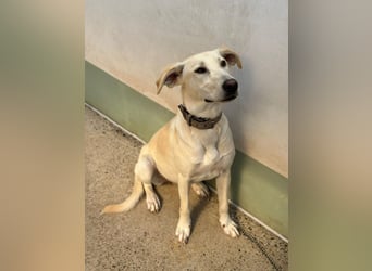 Lilly – sensibel, aktiv, besonders. Wer gibt ihr diesmal die richtige Chance?