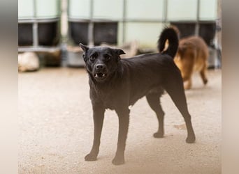 Zora: schüchtern, freundlich, neugierig