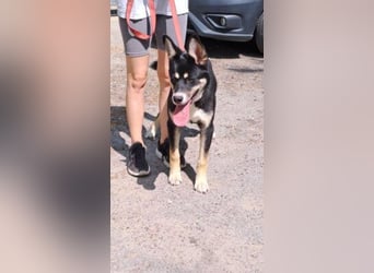 ENDER-IM DORF ALLEIN UNTERWEGS