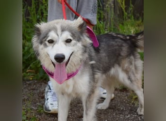 Rita Y160 ist eine wahre Frohnatur