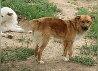 Charly Brown