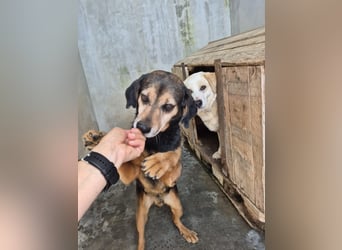 Frodo: einmal Liebe spüren