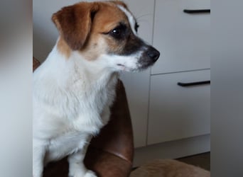 Lustige MONA sucht eine liebevolle Familie